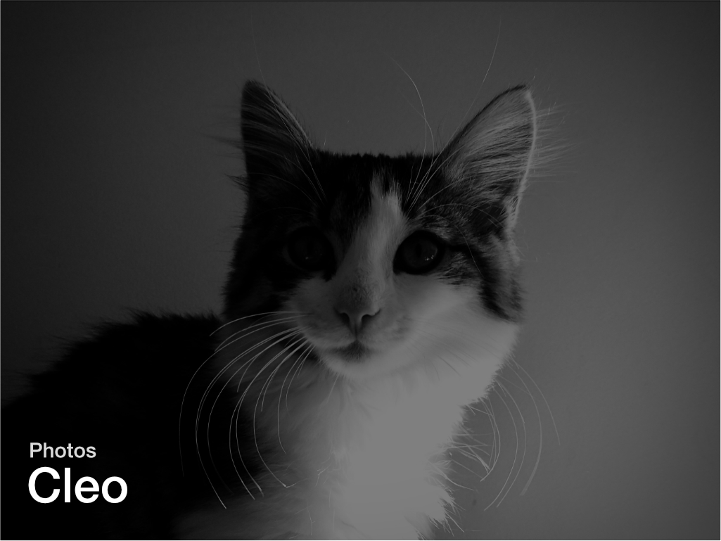 Cleo